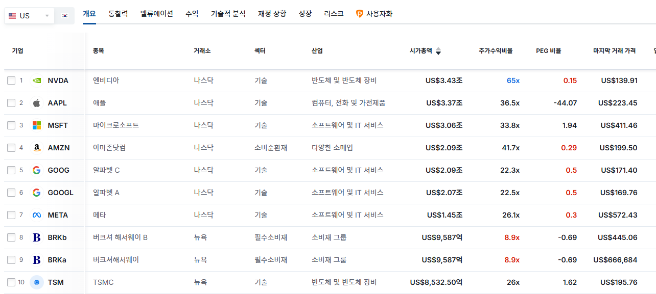 미국증시 - 시가총액 탑10