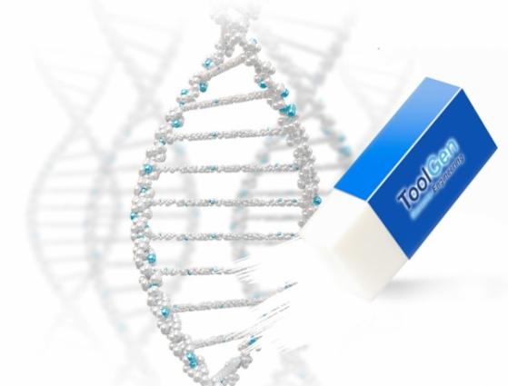 유전자 가위기술 기업 ‘툴젠,’ 공모주 청약 164대 1…증거금 1조4361억