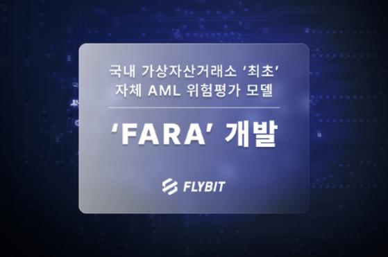 플라이빗, 자체 자금세탁방지(AML) 위험 평가 모델 개발