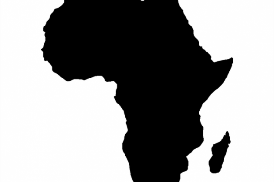 IMF “아프리카 암호화폐 시장 규제 필요”