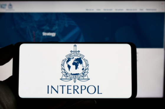 국제형사경찰기구(ICPO), 메타버스 범죄 단속 강화