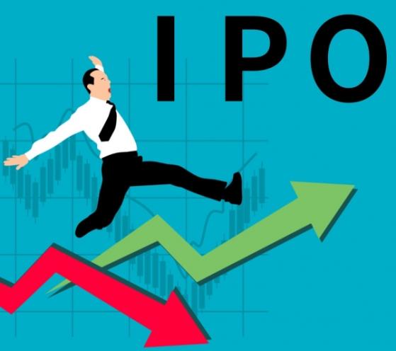 [IPO] 상반기 공모수익률 상위 기업 어디?...최고 수익률은 797%