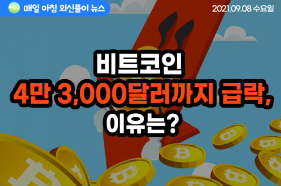 [노기자의 잠든사이에 일어난 일]비트코인 가격, 4만 3,000달러까지 순간 급락…이유는?