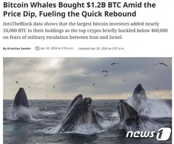 비트코인 6만달러 하회하자 한 고래가 1.6조어치 매집