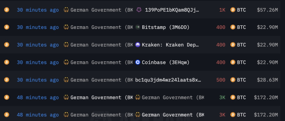 독일 정부, 방금 전 비트코인 '2000억원치' 거래소로 전송