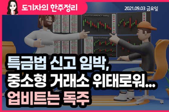 [도기자의 한 주 정리] 특금법 신고 임박, 중소형 거래소 위태로워...업비트는 독주