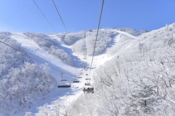 부영, 무주 덕유산리조트 스키 시즌권 판매 개시