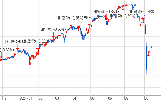 지난봄 ‘커버드콜 ETF’가 투자자들 사이에서 유행이었지만 8월 하락장 속 흐름은….