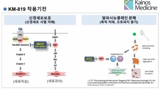 카이노스메드, 다계통위축증 치료제 국내 임상2상 개시