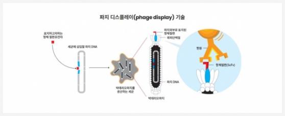 [IPO] 135억 IPO 공모 완료 '와이바이오로직스' 내달 5일 코스닥 입성