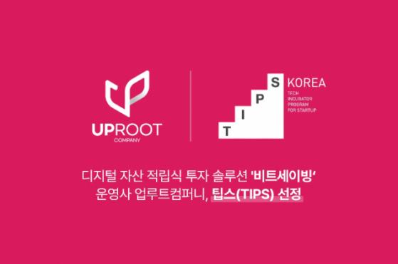 가상자산 투자 솔루션 운영사, 팁스(TIPS) 선정